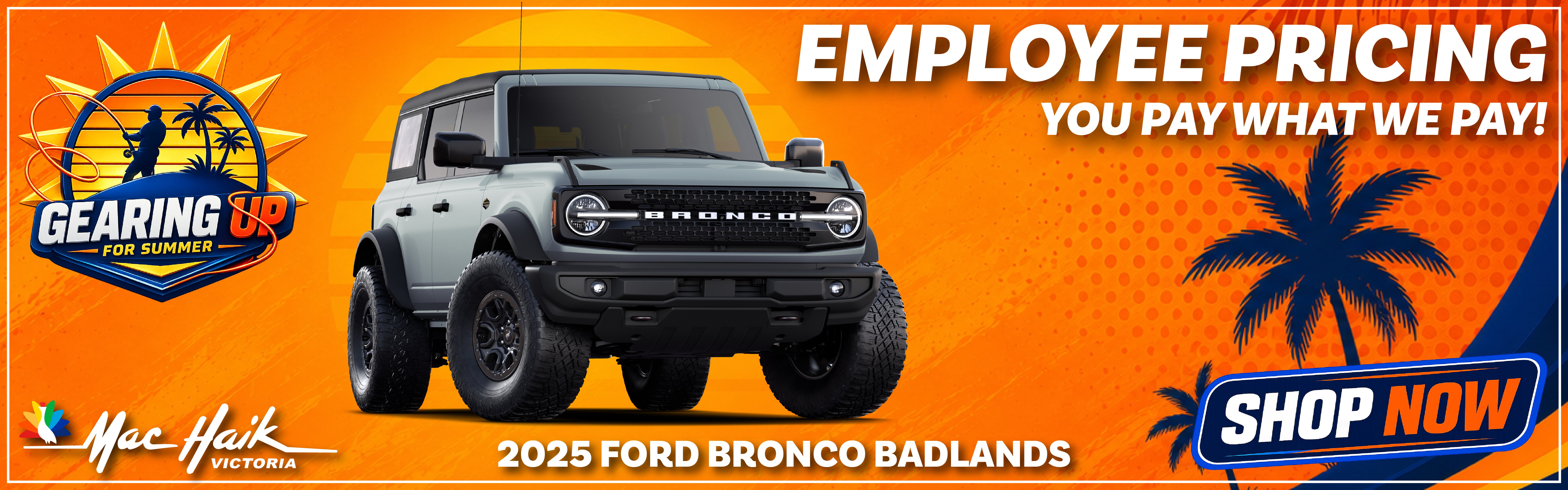 Ford Broncos
